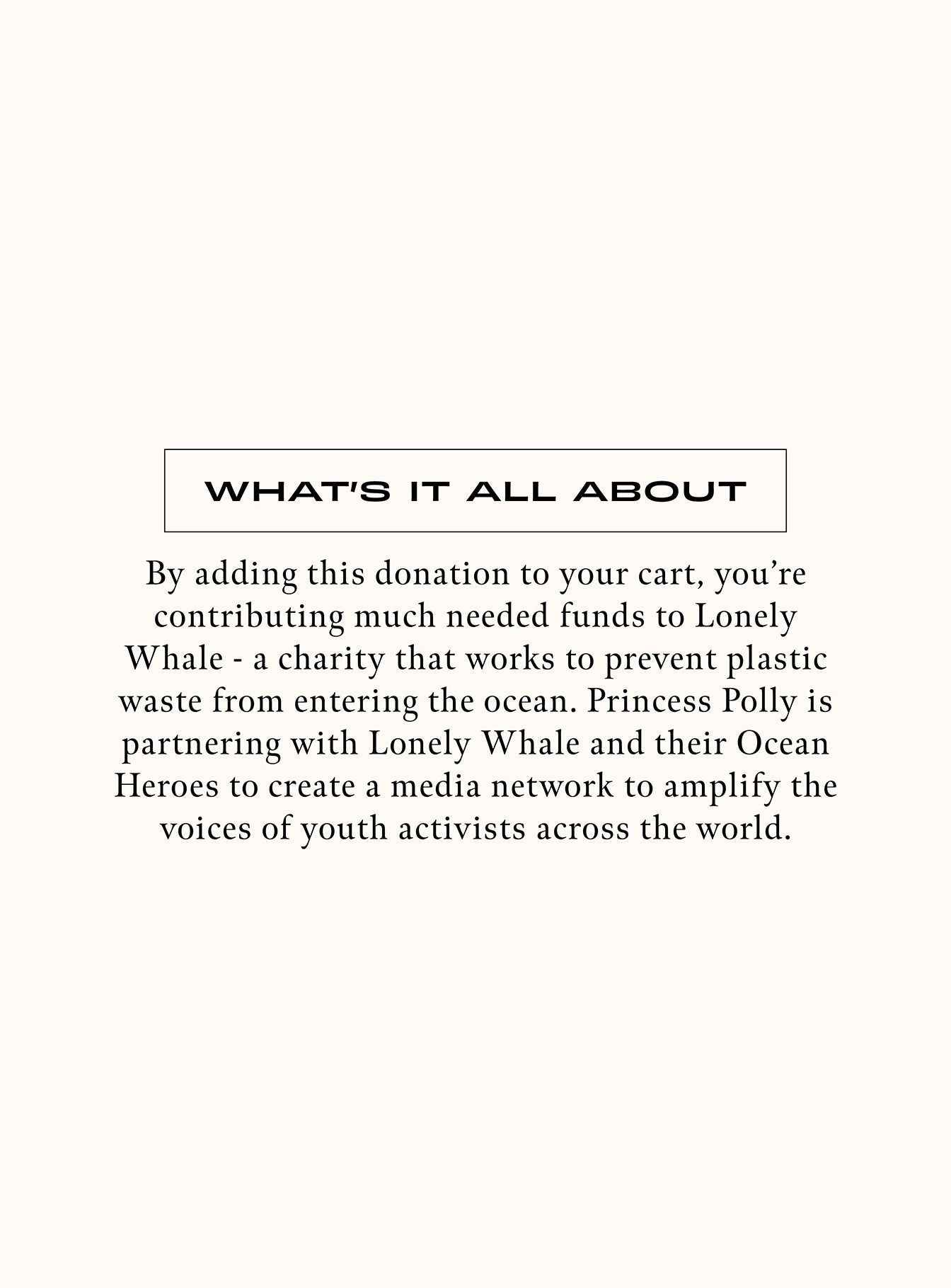 Donate $1 USD to Lonely Whale