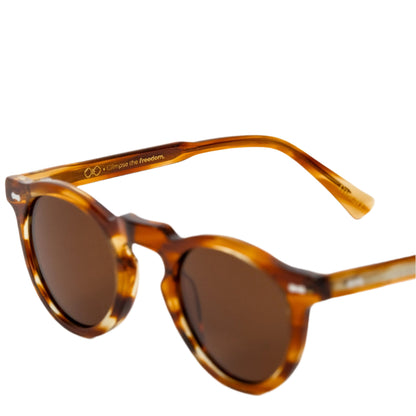 Vessel Whisky Sunglasses - Dalm Fashion