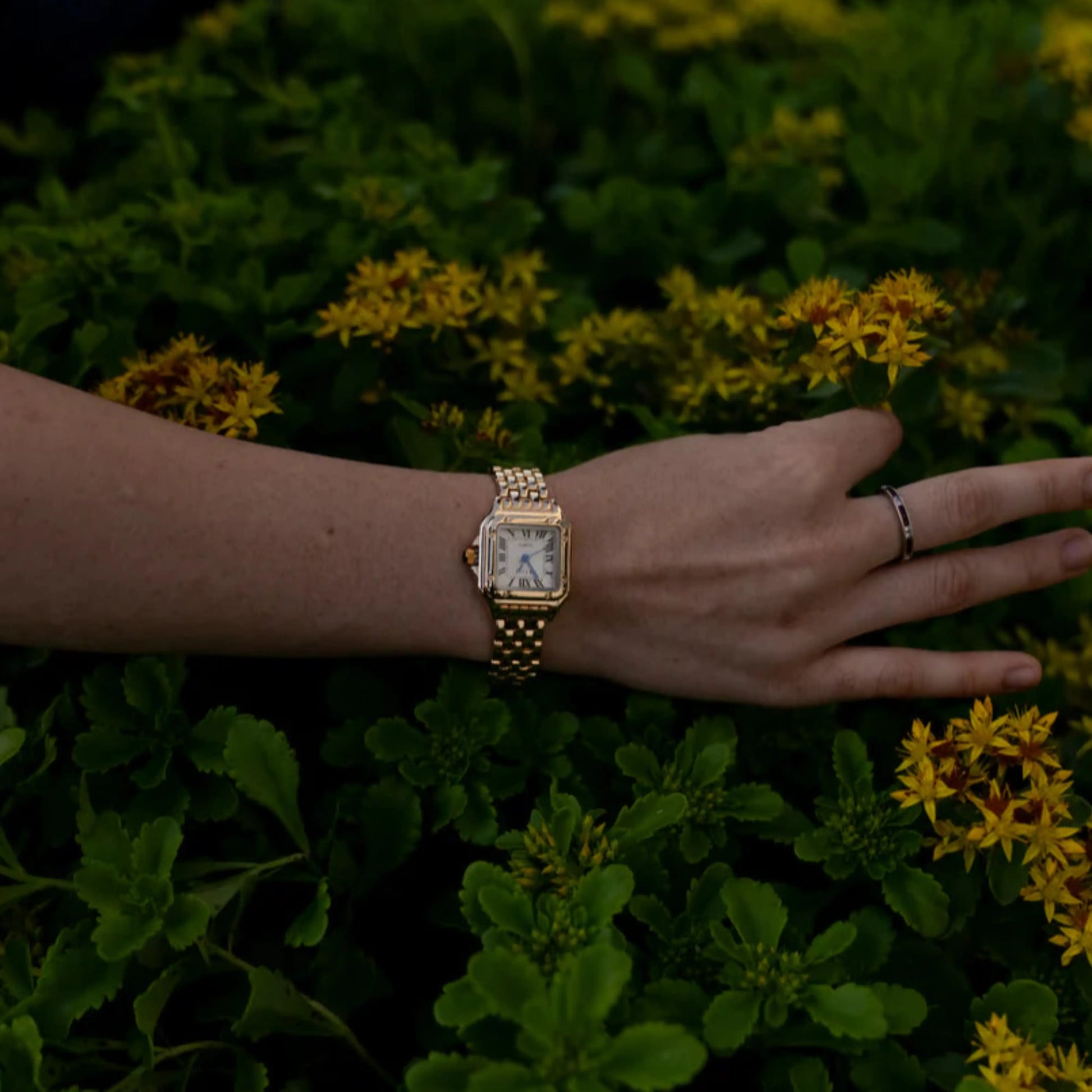 TheighT® Calista VIP - Dalm Fashion