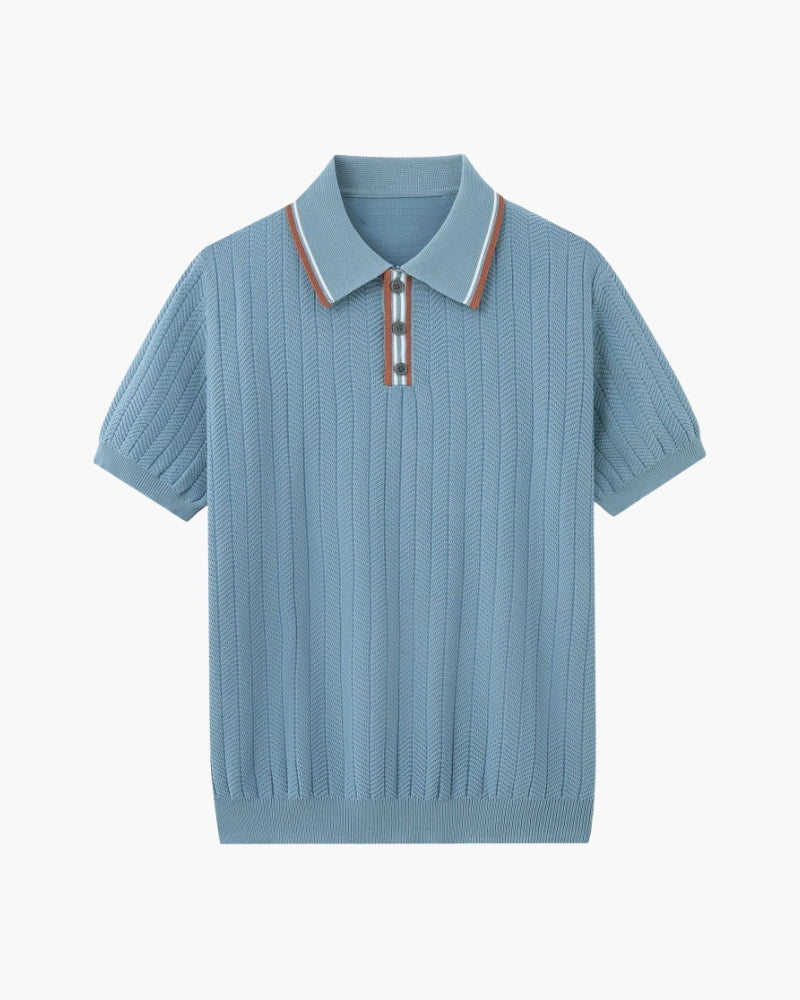 Ashford Knit Polo - Dalm Fashion